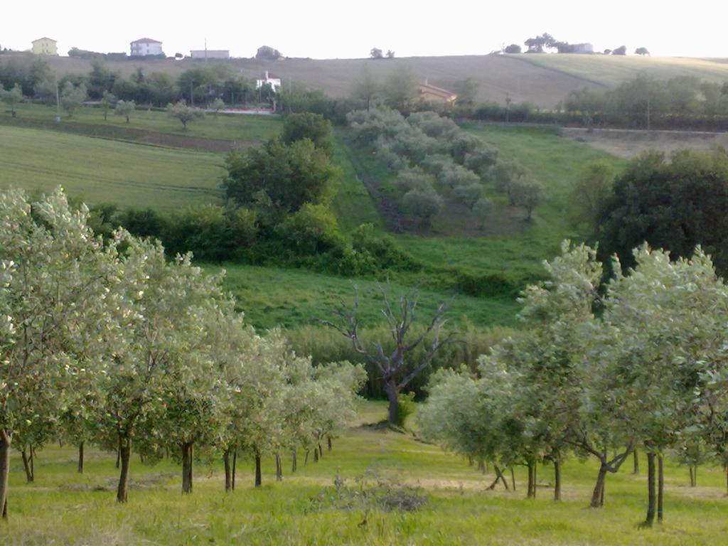 Agriturismo Bio Verde Armonia Villa Montemarciano Kültér fotó