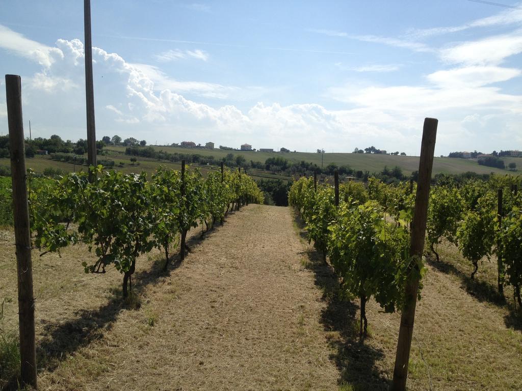 Agriturismo Bio Verde Armonia Villa Montemarciano Kültér fotó