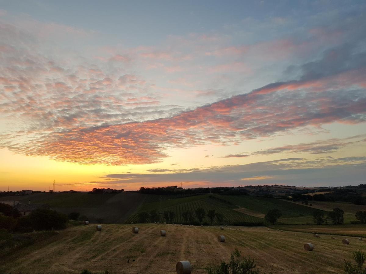 Agriturismo Bio Verde Armonia Villa Montemarciano Kültér fotó